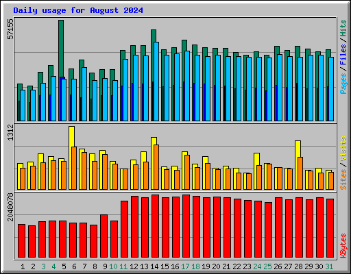 Daily usage for August 2024