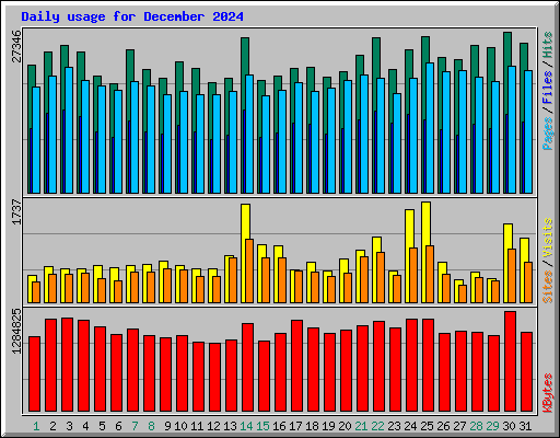 Daily usage for December 2024