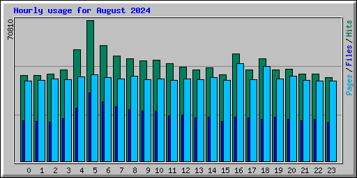 Hourly usage for August 2024