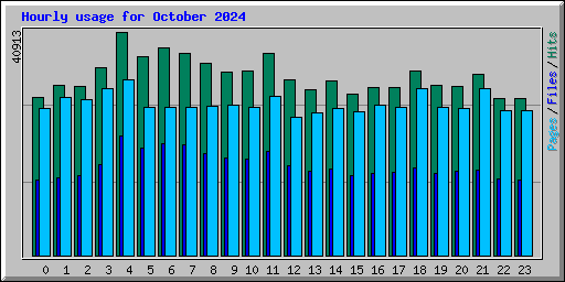 Hourly usage for October 2024