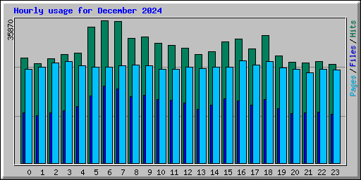 Hourly usage for December 2024