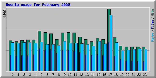 Hourly usage for February 2025